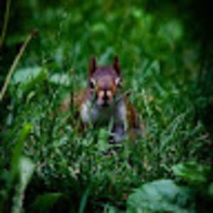 Meet your Posher, Elena